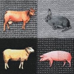 Farm animals P+D